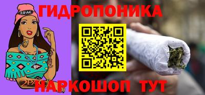 гидропоника Будённовск