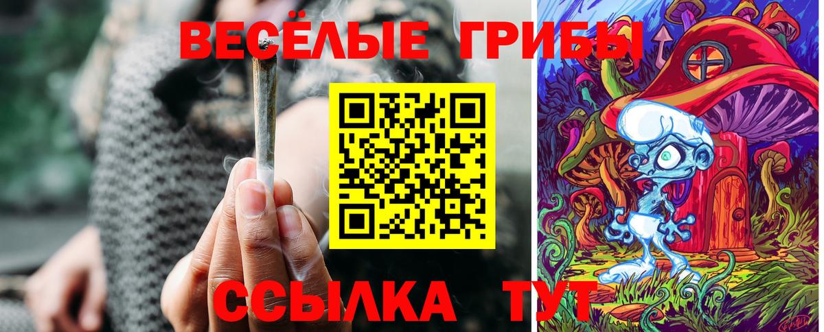 Псилоцибиновые грибы мицелий Пугачёв